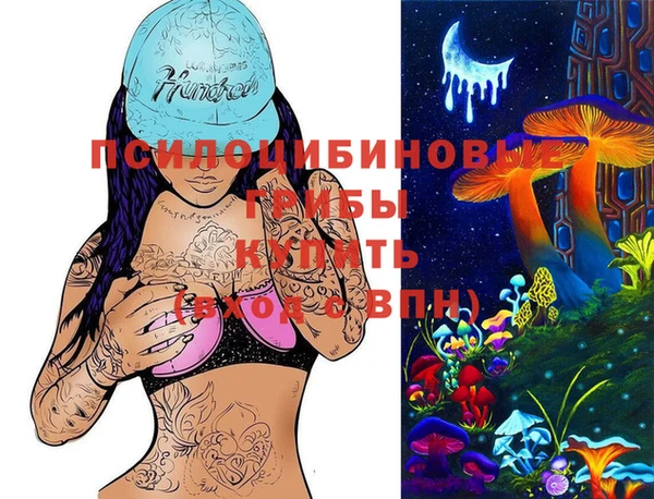 apvp Киренск