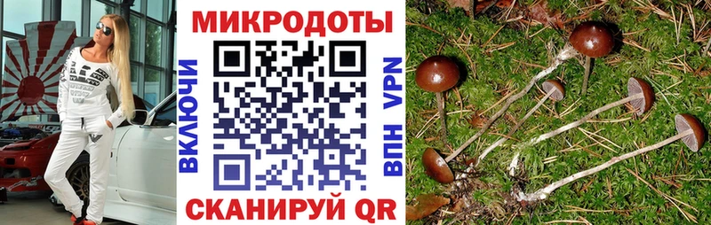 Галлюциногенные грибы Cubensis  Кочубеевское 